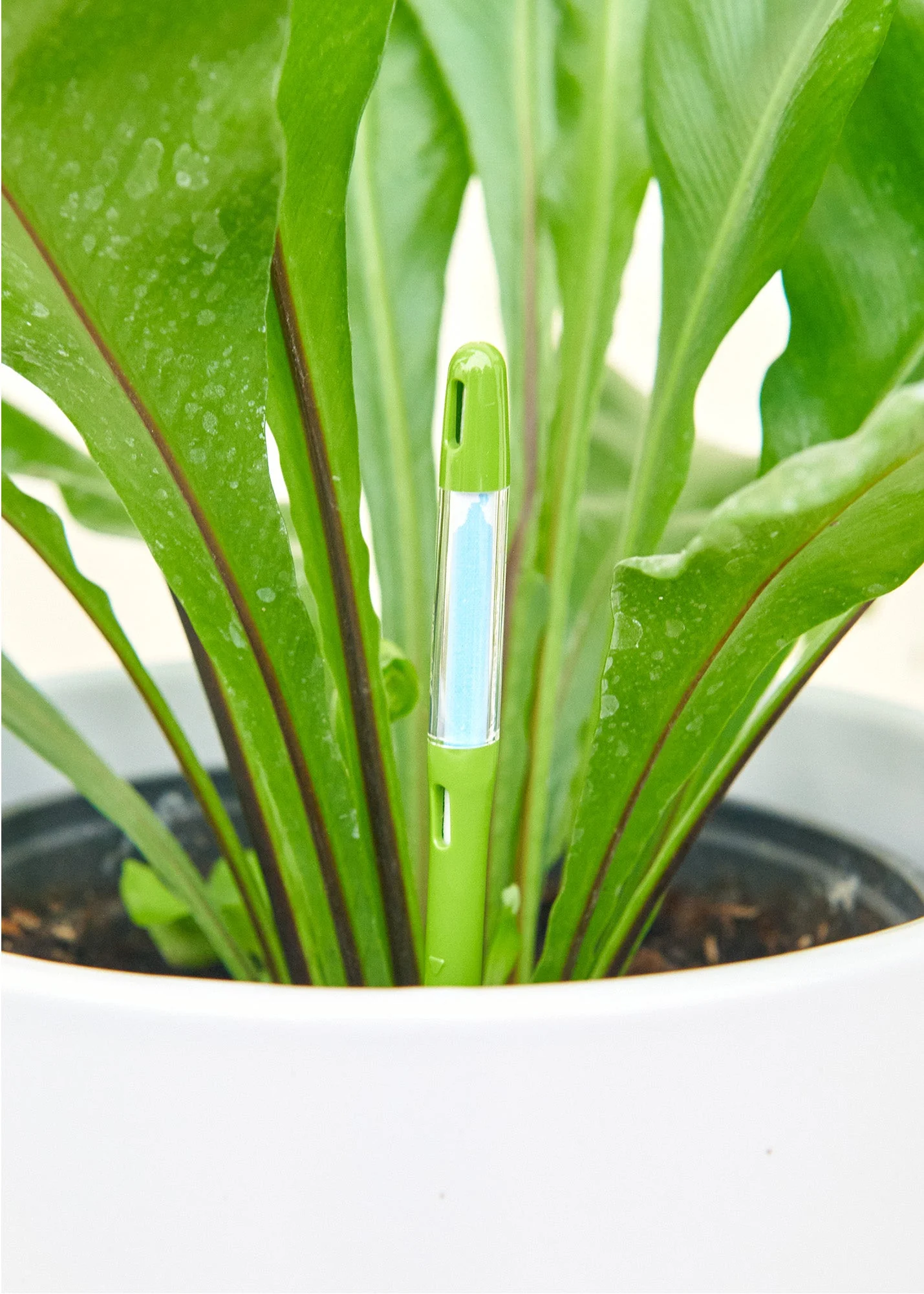 Moisture Meter, Small - Image 4