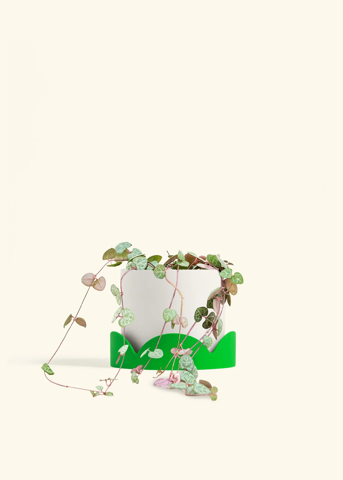 String of Hearts, Medium - Image 21